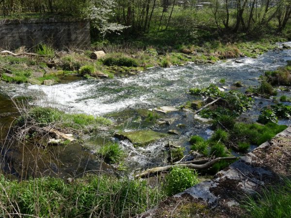 kleiner Wasserfall im Reiserschen Tal