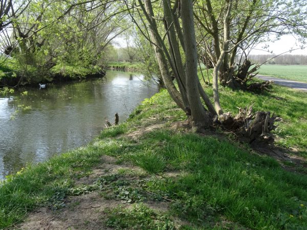 Unstrut bei Thamsbrück