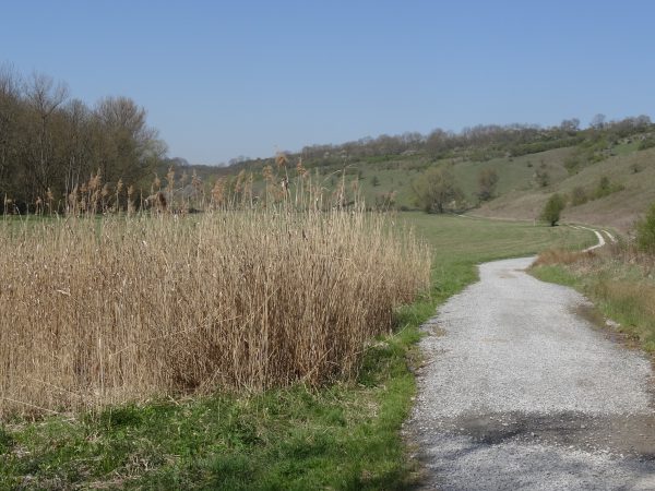 Naturschutzgebiet Unstruttal