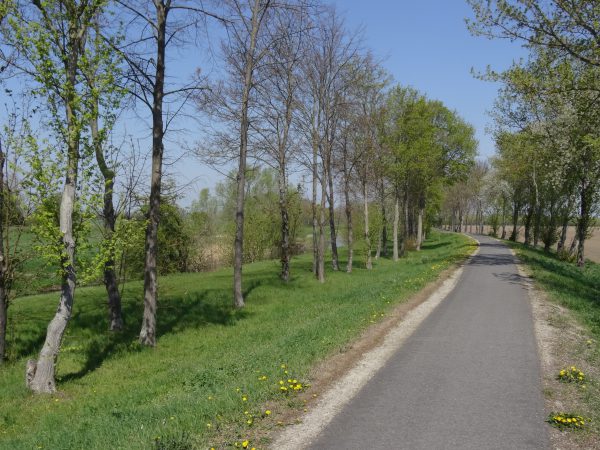 Auf dem Unstrutdeich zwischen Sömmerda und Leubingen