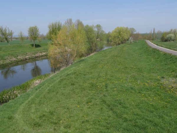 Unstrut bei Leubingen