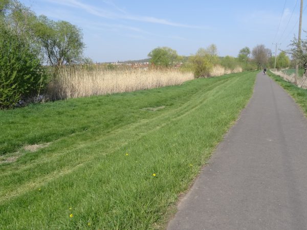 Unstrutradweg bei Schönfeld
