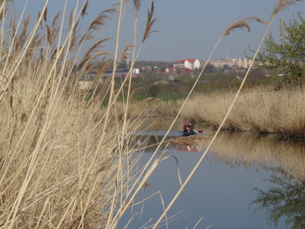 Unstrutblick bei Ritteburg
