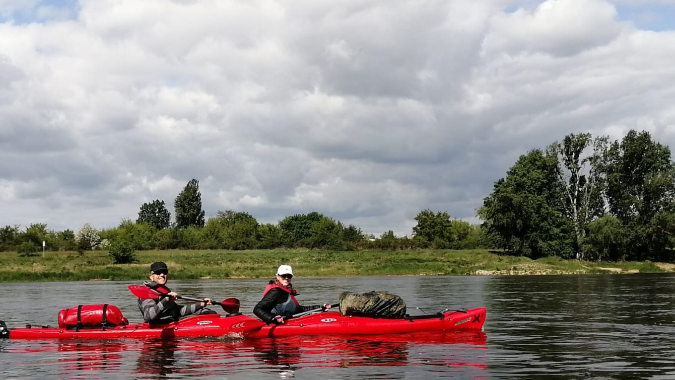 Kanus auf der Elbe