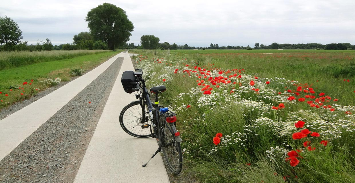 Boderadweg bei Wolmirsleben Boderadweg bei Wolmirsleben