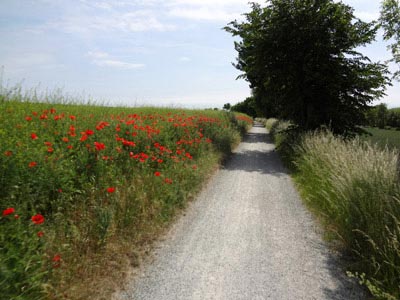 Boderadweg Boderadweg