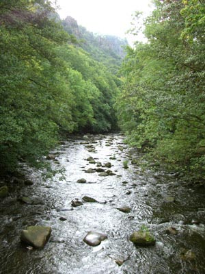 Bode in Thale Bode in Thale