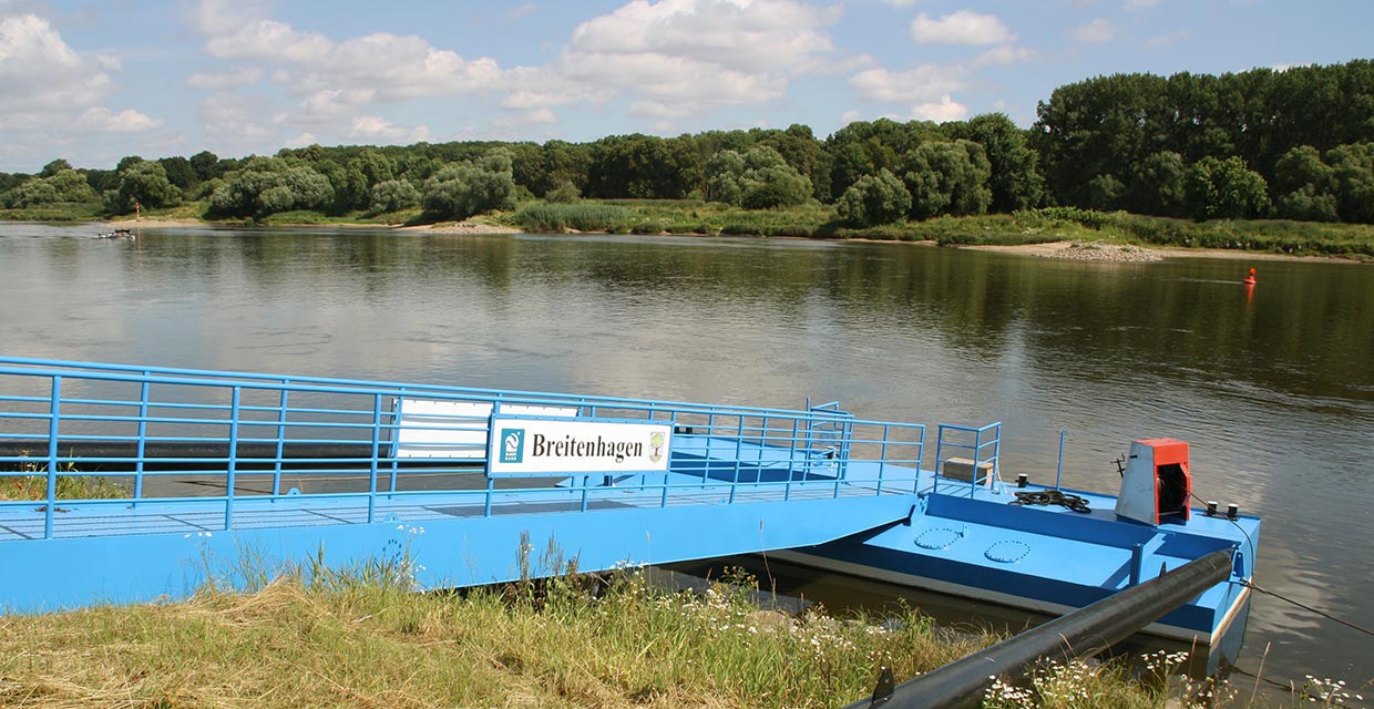 Elbe bei Breitenhagen Elbe bei Breitenhagen