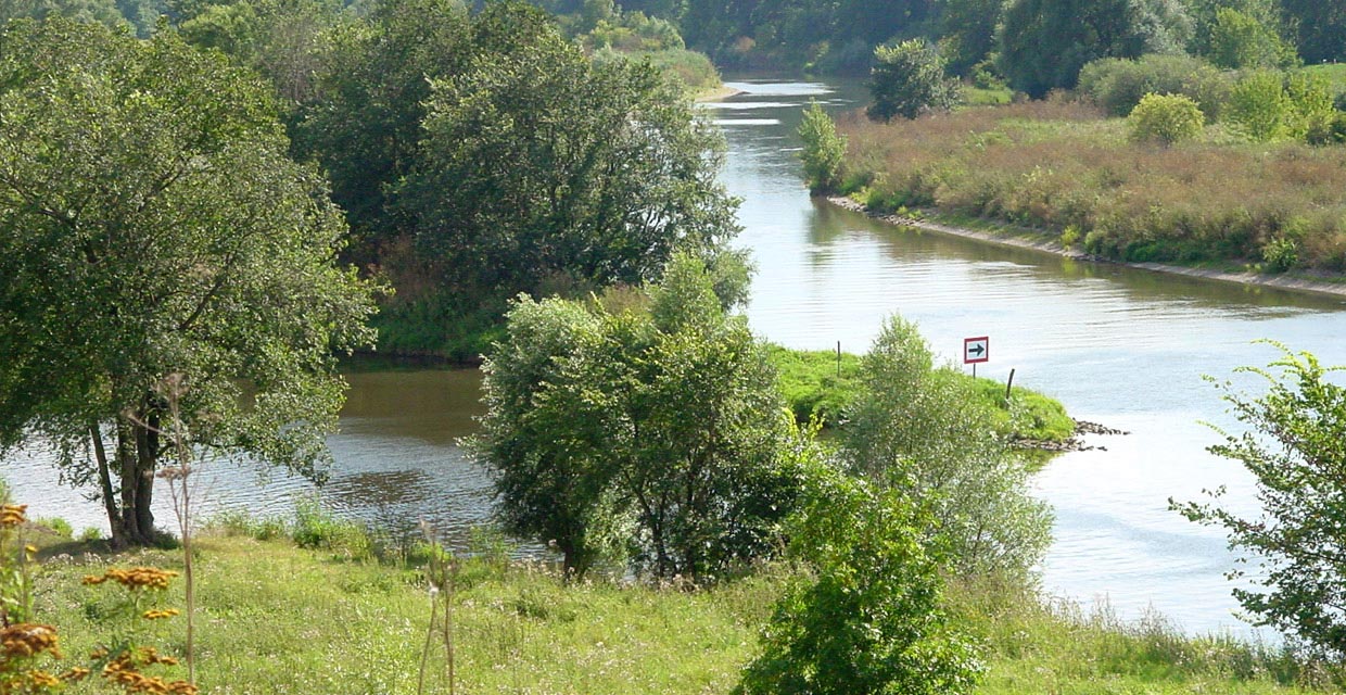 Mündung der Weißen Elster in die Saale