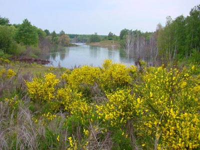 Goitzsche Landschaft Goitzsche Landschaft
