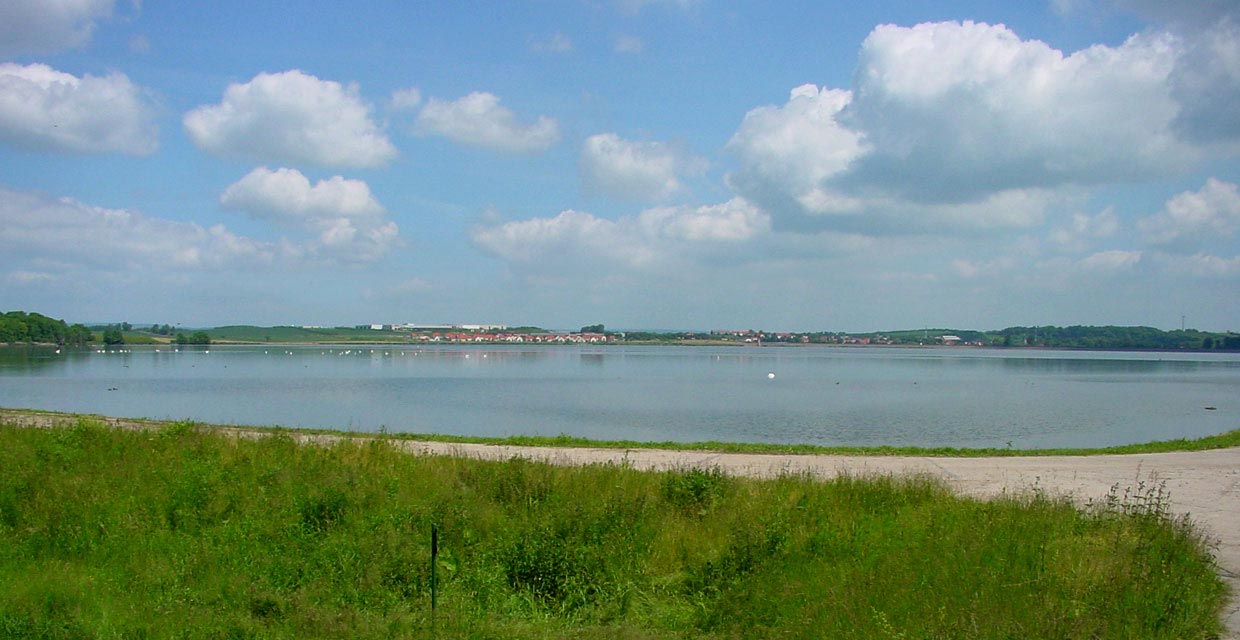 Blick über das Rückhaltebecken Straußfurt