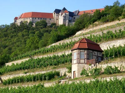 Weinberg Freyburg mit Neuenburg Weinberg Freyburg mit Neuenburg