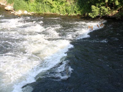 Kante mit Spundwand unter der Unstrutbrücke Kante mit Spundwand unter der Unstrutbrücke