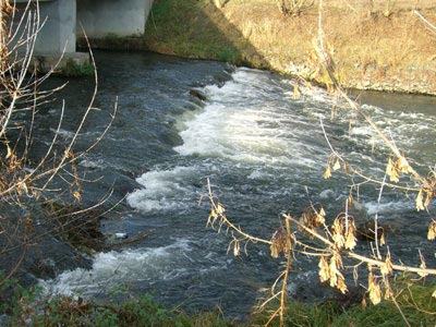 Kante mit Spundwand unter der Unstrutbrücke Kante mit Spundwand unter der Unstrutbrücke